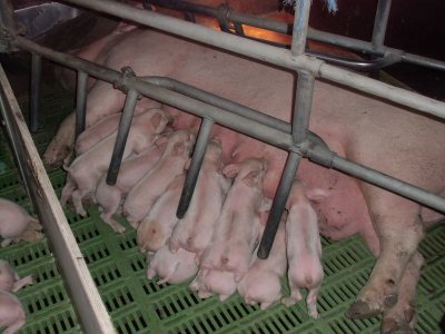 Berufsorientierung aktuell