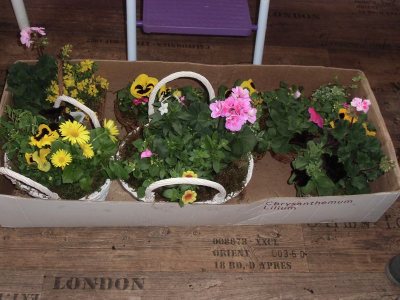 Berufsorientierung aktuell