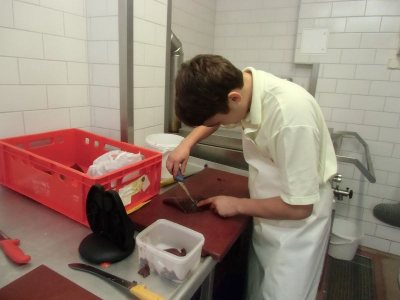 Berufsorientierung aktuell