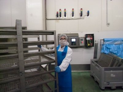 Berufsorientierung aktuell