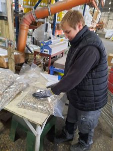 Berufsorientierung aktuell