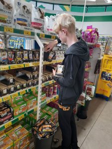 Berufsorientierung aktuell